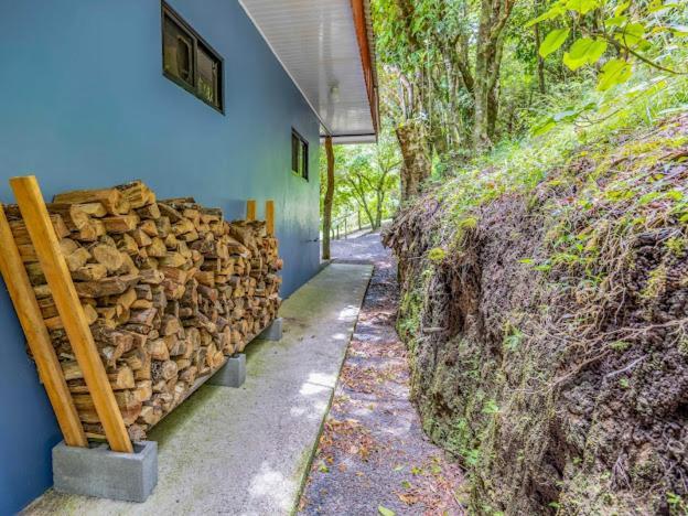 Cantos Del Bosque Monteverde Exterior foto